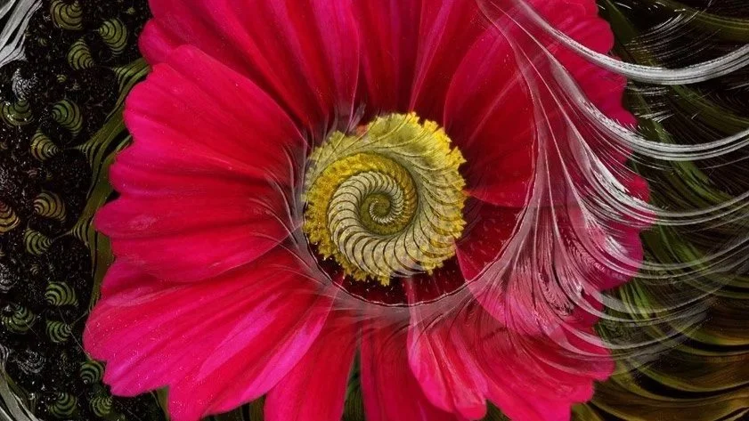 Sacred geometry mandala from the Paititi dreamwork teachings
