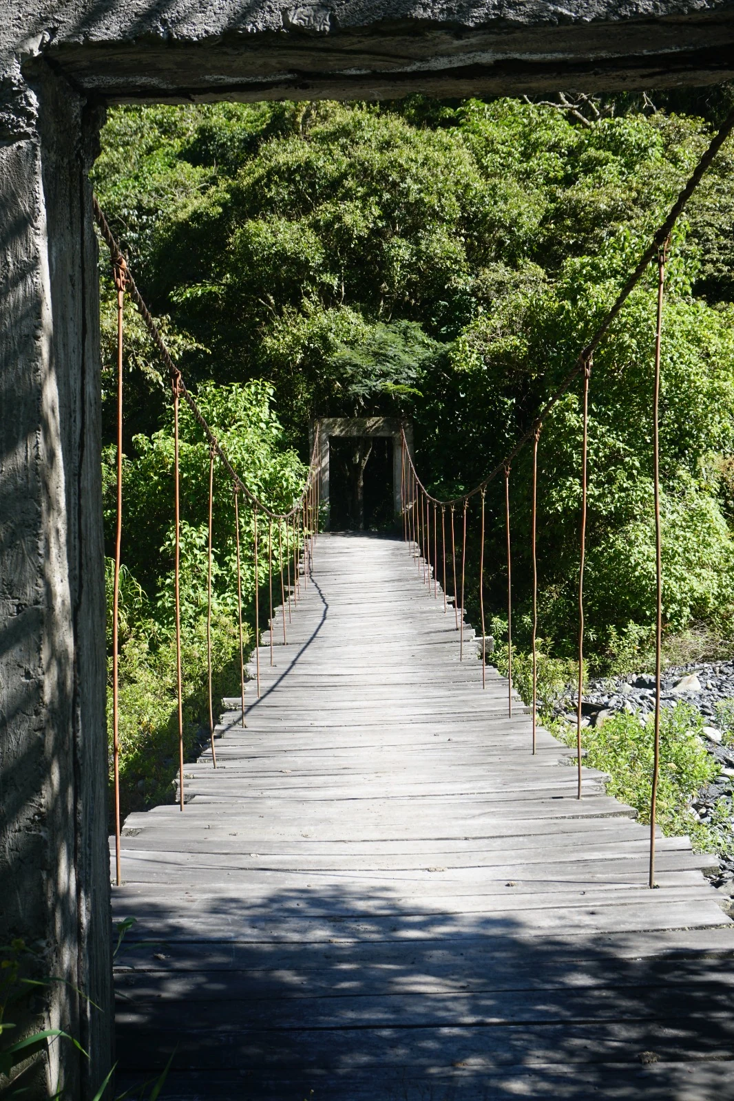 Un angosto puente colgante de madera que cruza un riachuelo hacia el bosque verde y denso