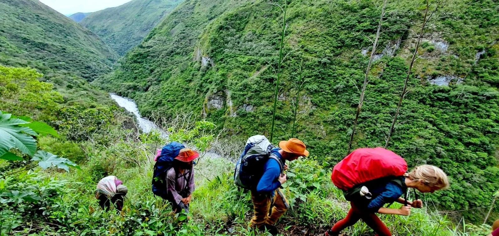 Cuatro caminantes en fila por una ladera verde y empinada, muy por encima del cañón del río que limita la reserva