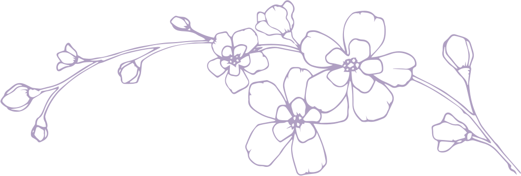 Ilustración de flores de cerezo moradas en una rama