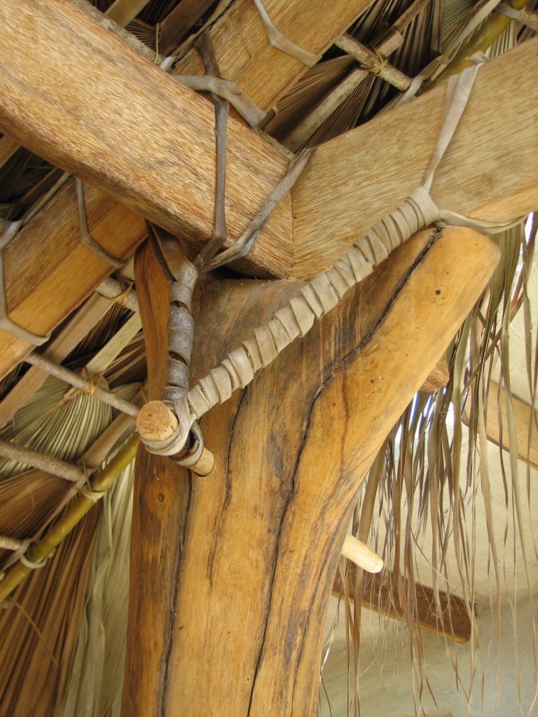 Traditional construction technology from Baja California Sur utilizing leather strapping and wooden pegs to hurricane-proof traditional palapa structures.
