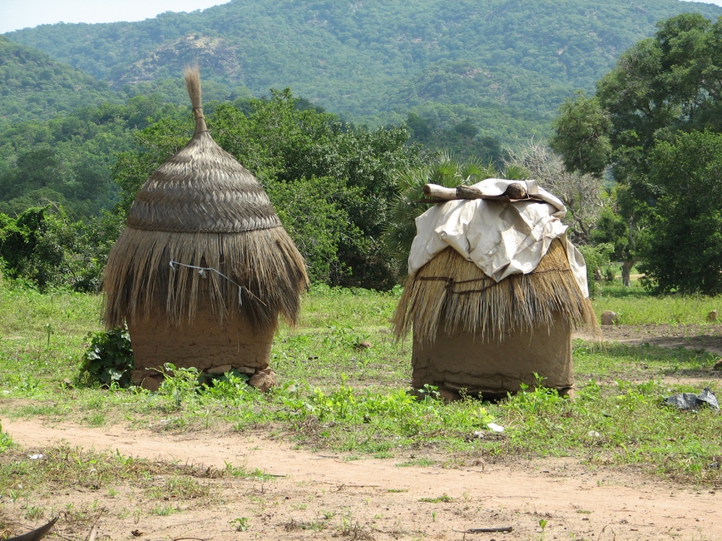 Traditional mud-brick and thatch-roofed grain storage, NW Nigeria (Yola region) 