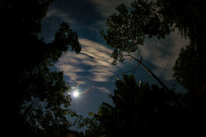 image shows the night sky, light shining off the moon and stars