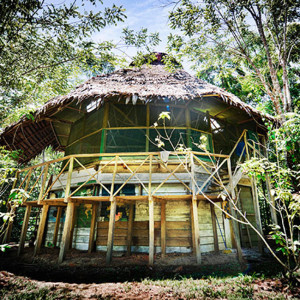 image shows a natural hut for a healing retreat in the middle of the forest