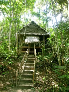 a jungle dieta hut shows where trials are gone through on the path of becoming a shaman