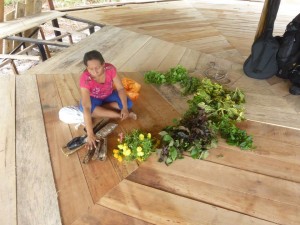 a peruvian medicine woman sits on the floor surrounded by plant medicines