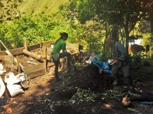 image shows students working with compost piles for the permaculture garden