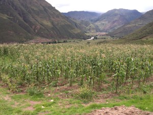 paititi Sacred Valley healing centre 2