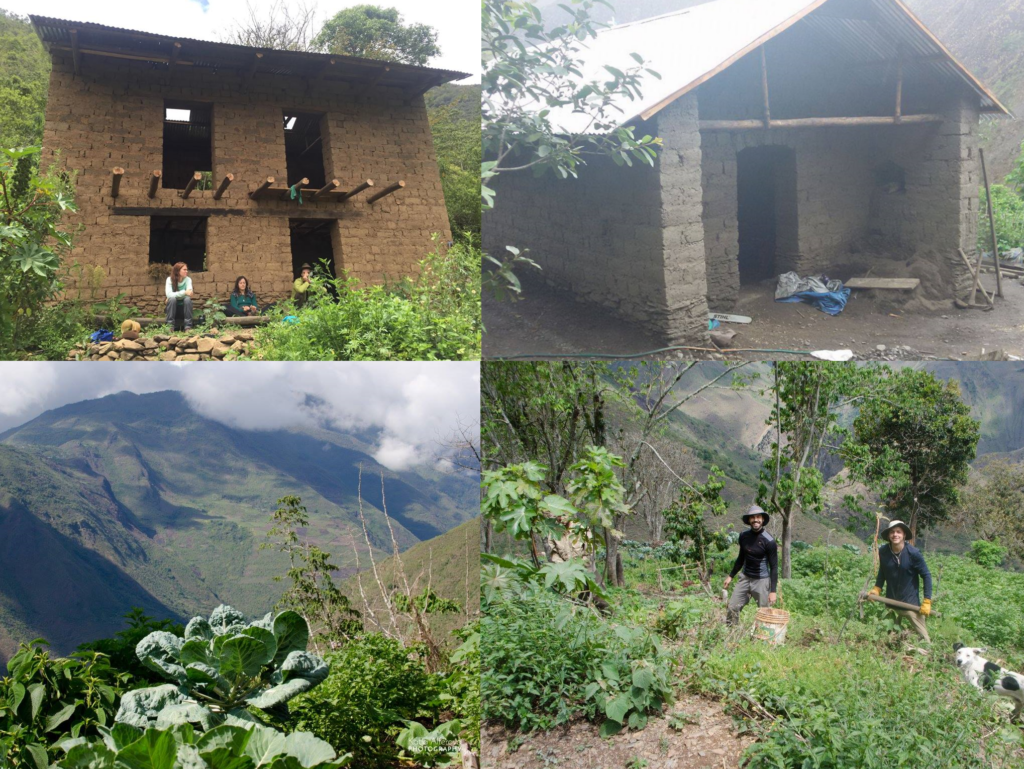 Image shows Paititi 2016 adobe construction projects from our permaculture center